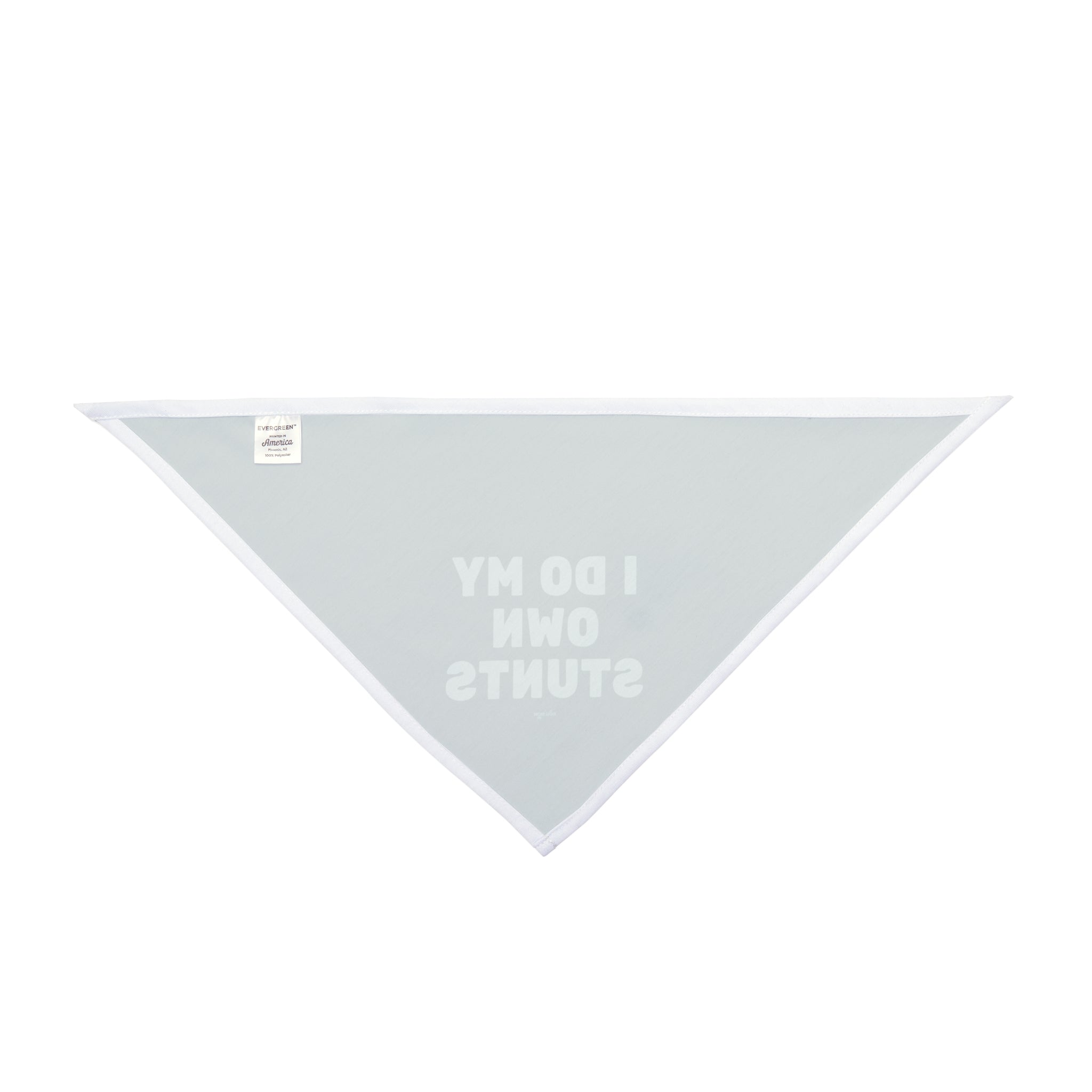 I Do My Own Stunts Dog Bandana