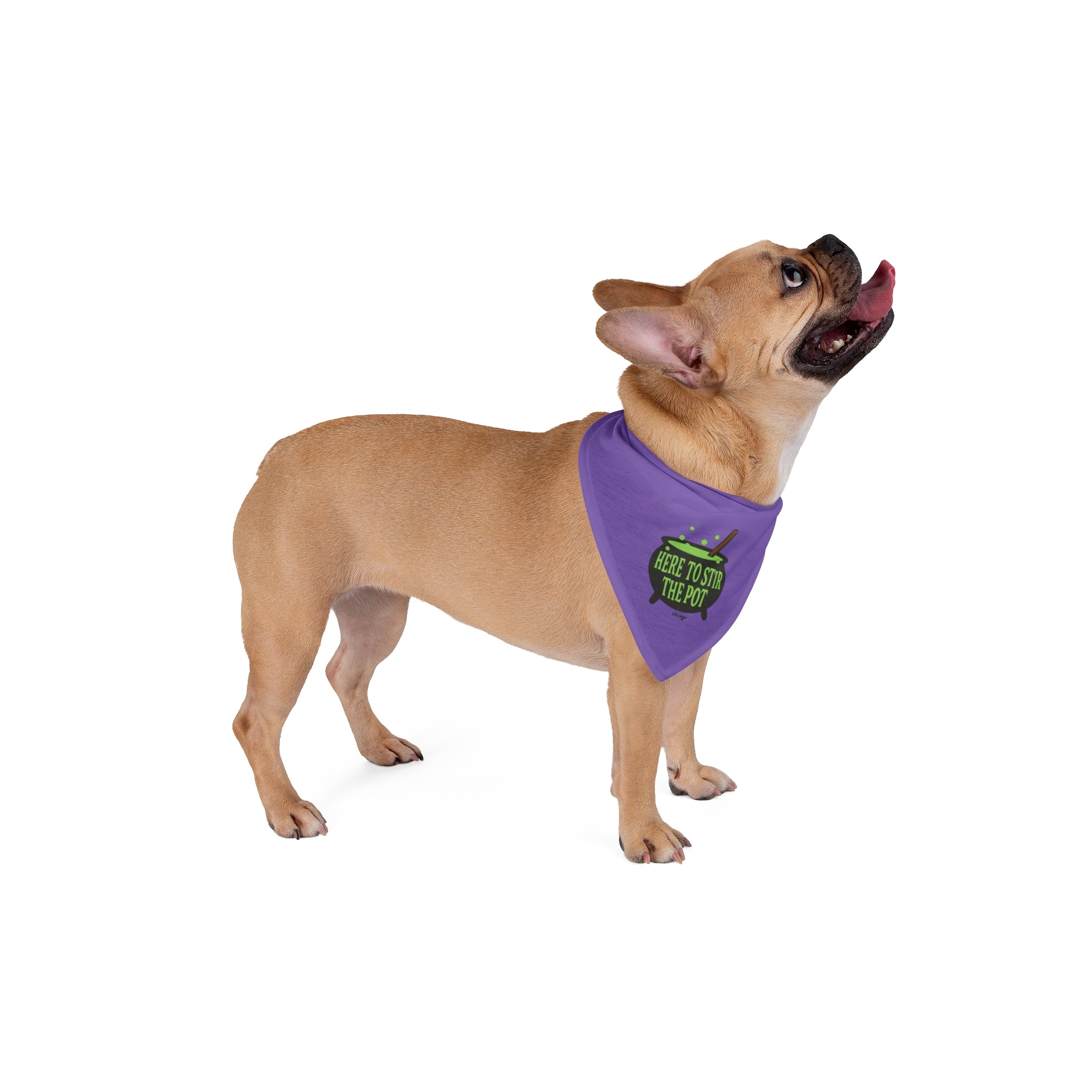 Here To Stir The Pot Dog Bandana