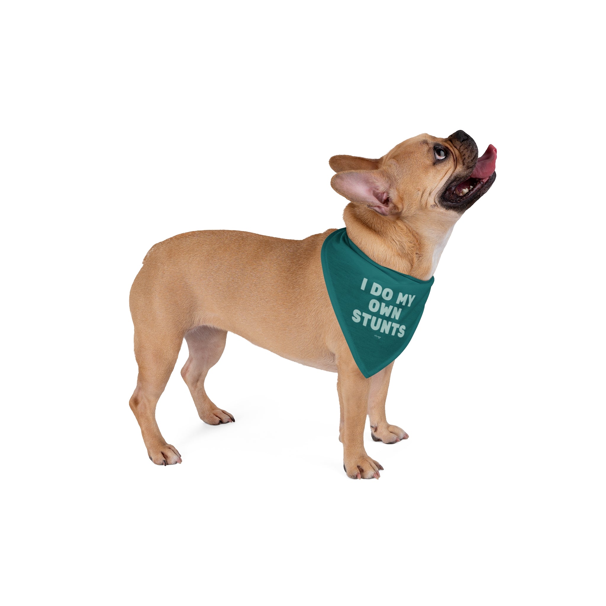 I Do My Own Stunts Dog Bandana