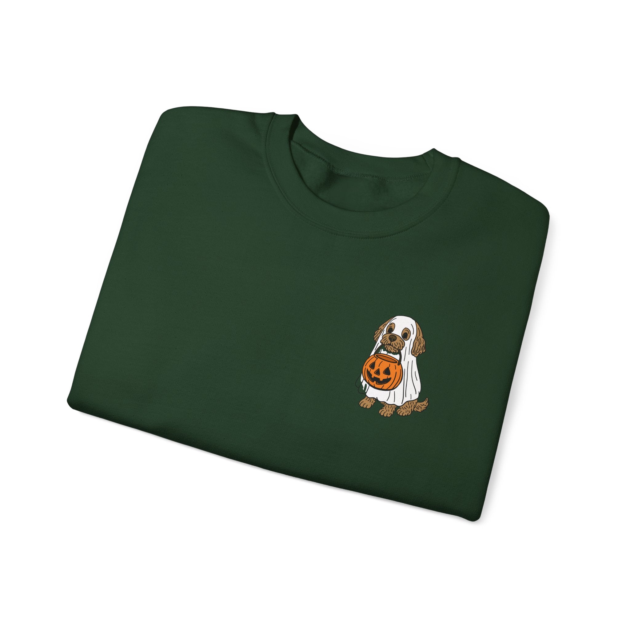 Mini Doodle Ghost Sweatshirt