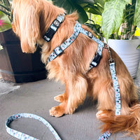 House Plant Dog Strap Harness