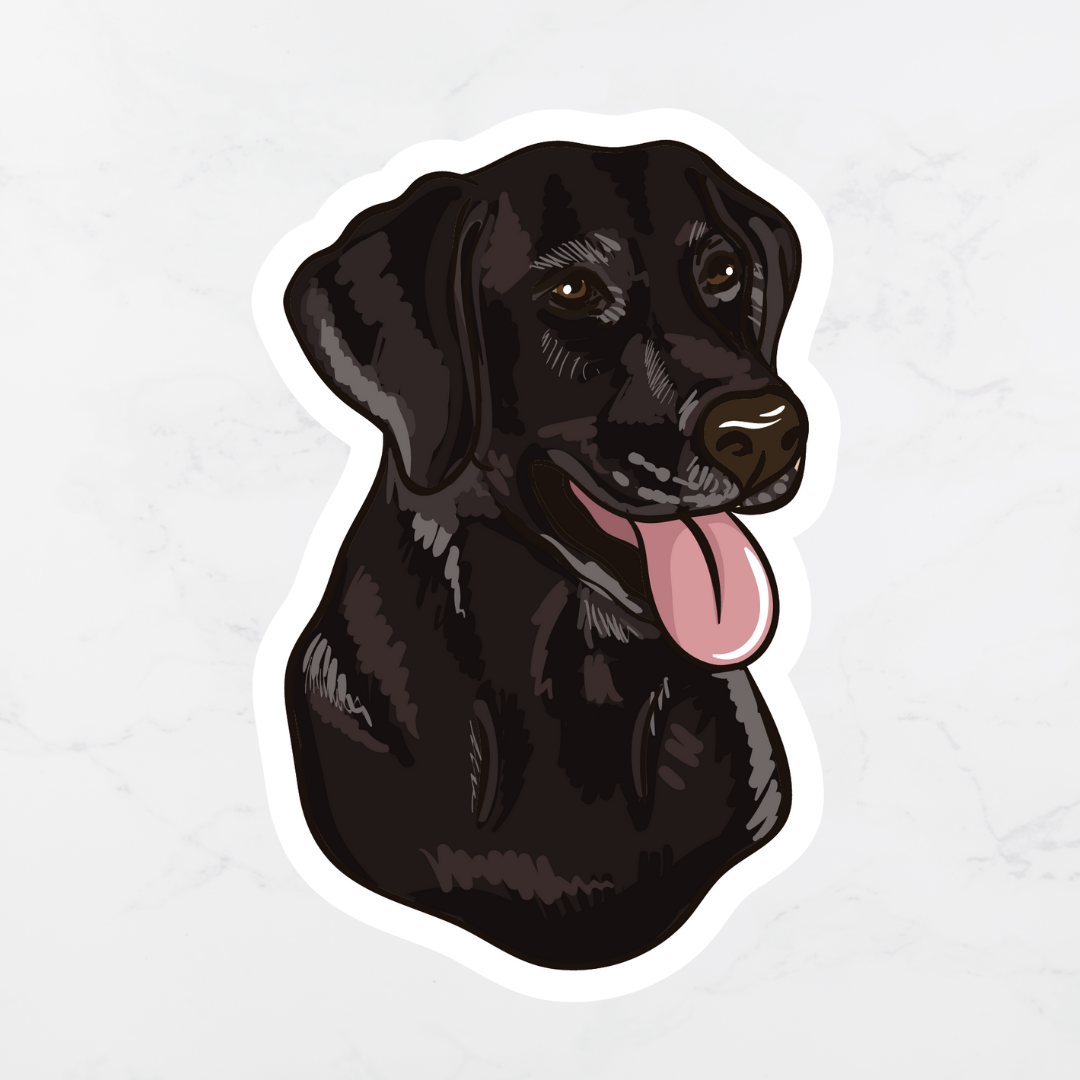 Black Labrador Retriever Sticker