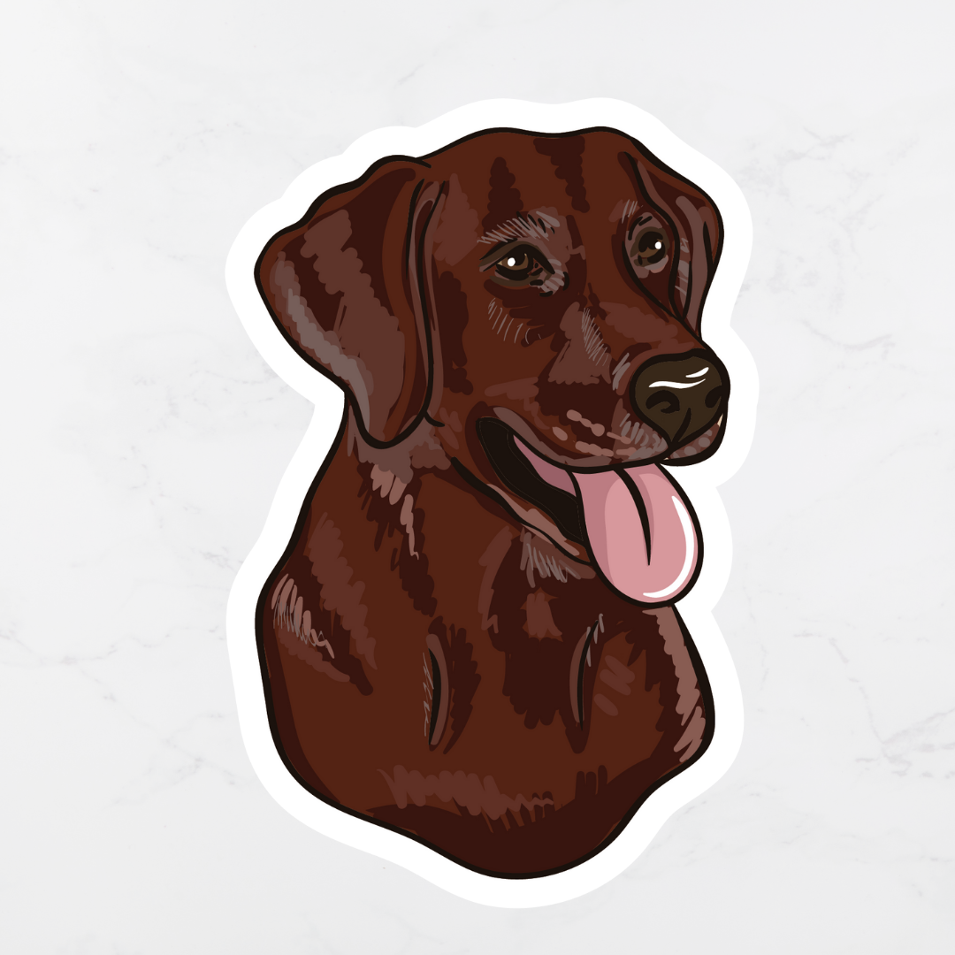 Chocolate Labrador Retriever Sticker