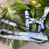 House Plant Dog Leash