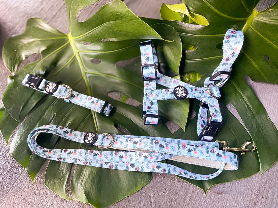 House Plant Dog Leash
