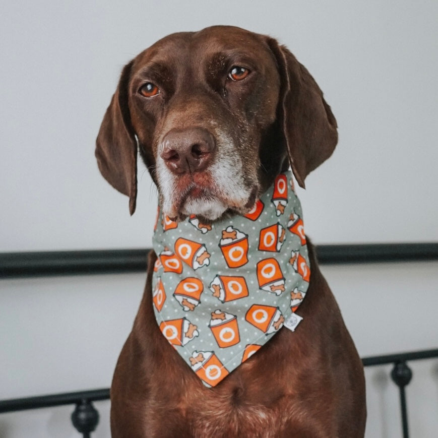 Pup-kin Spice Latte Bandana