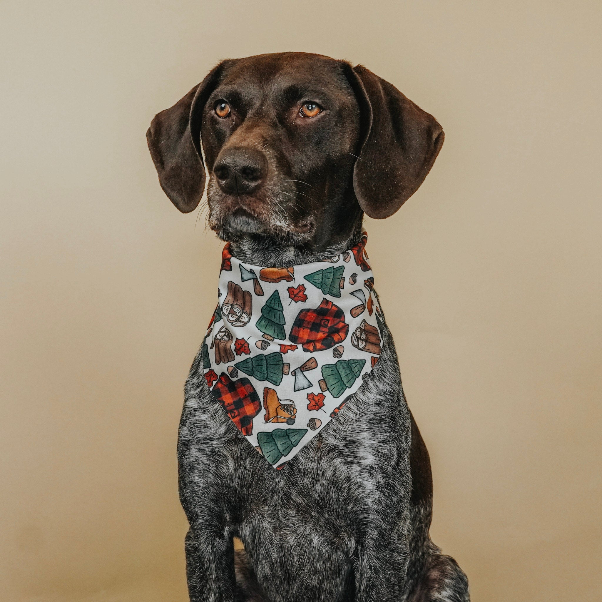 Lumberjack Active Dog Bandana