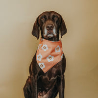 Happy Daisy Active Dog Bandana
