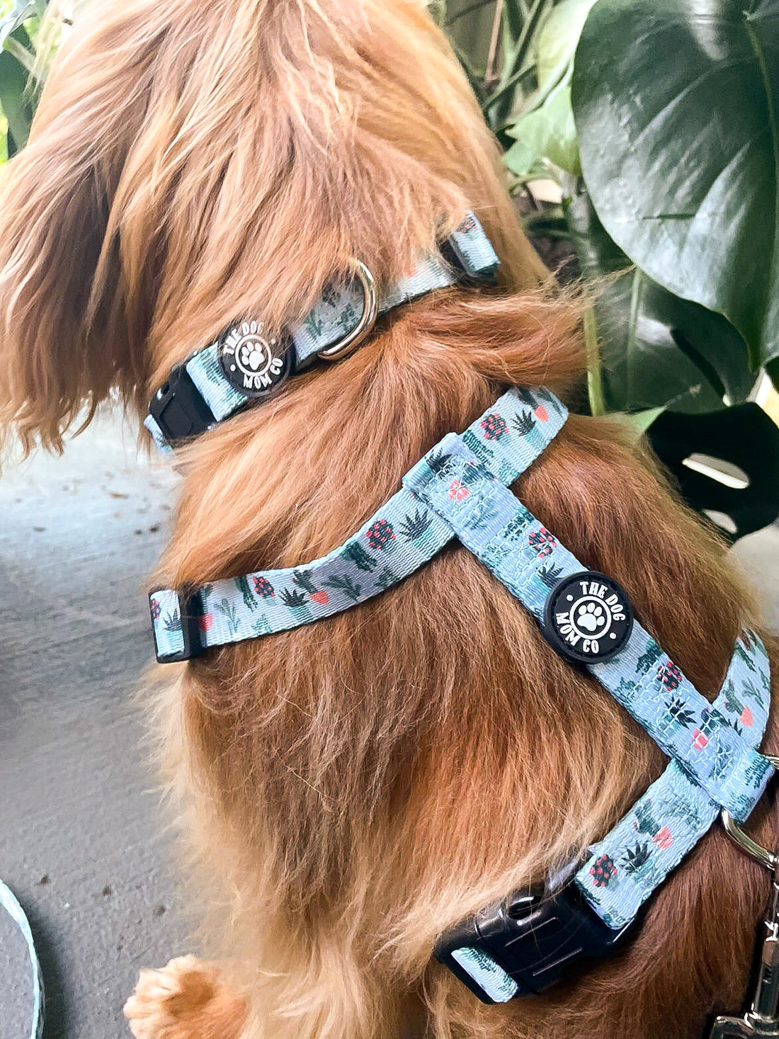 House Plant Dog Strap Harness