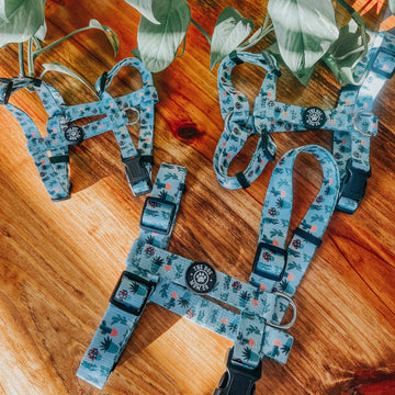 House Plant Dog Strap Harness