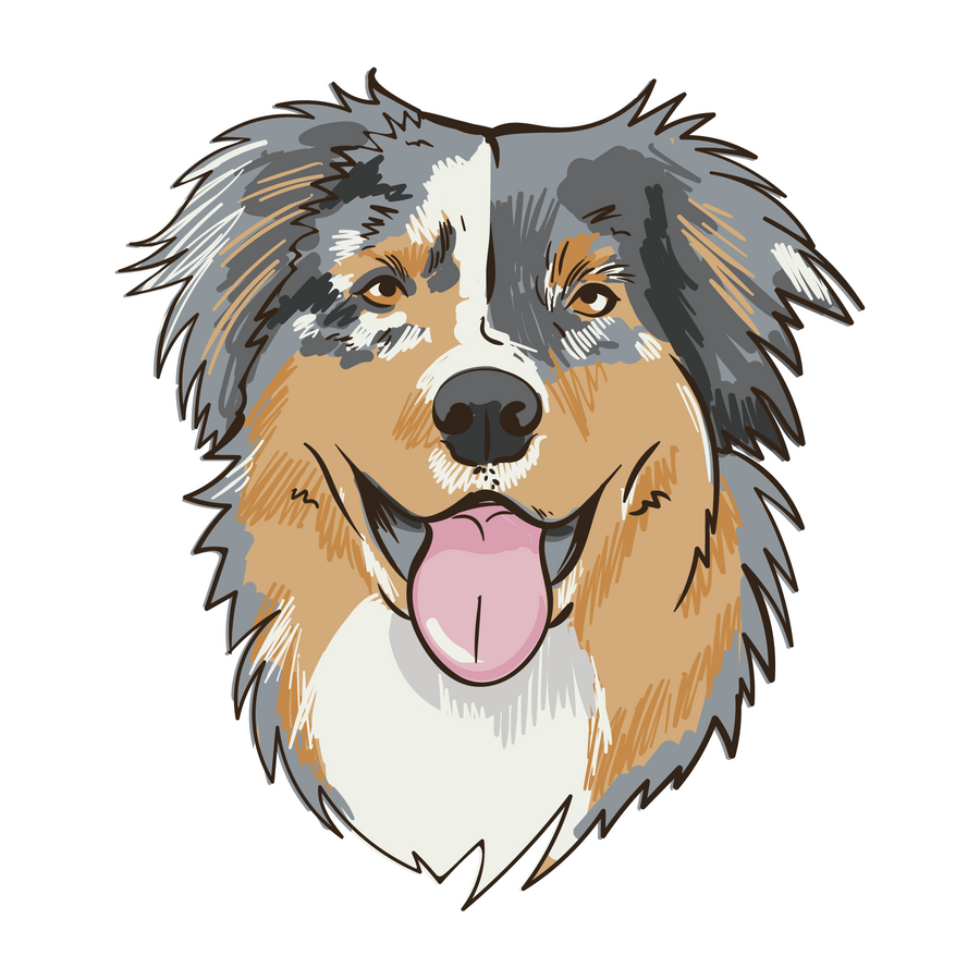 Aussie Sticker