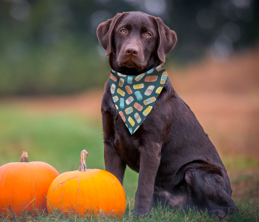 Dog Beers Bandana