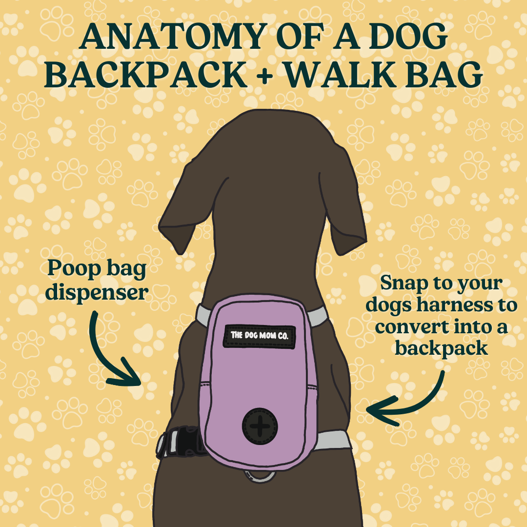 Mini Dog Walk Bag / Dog Backpack
