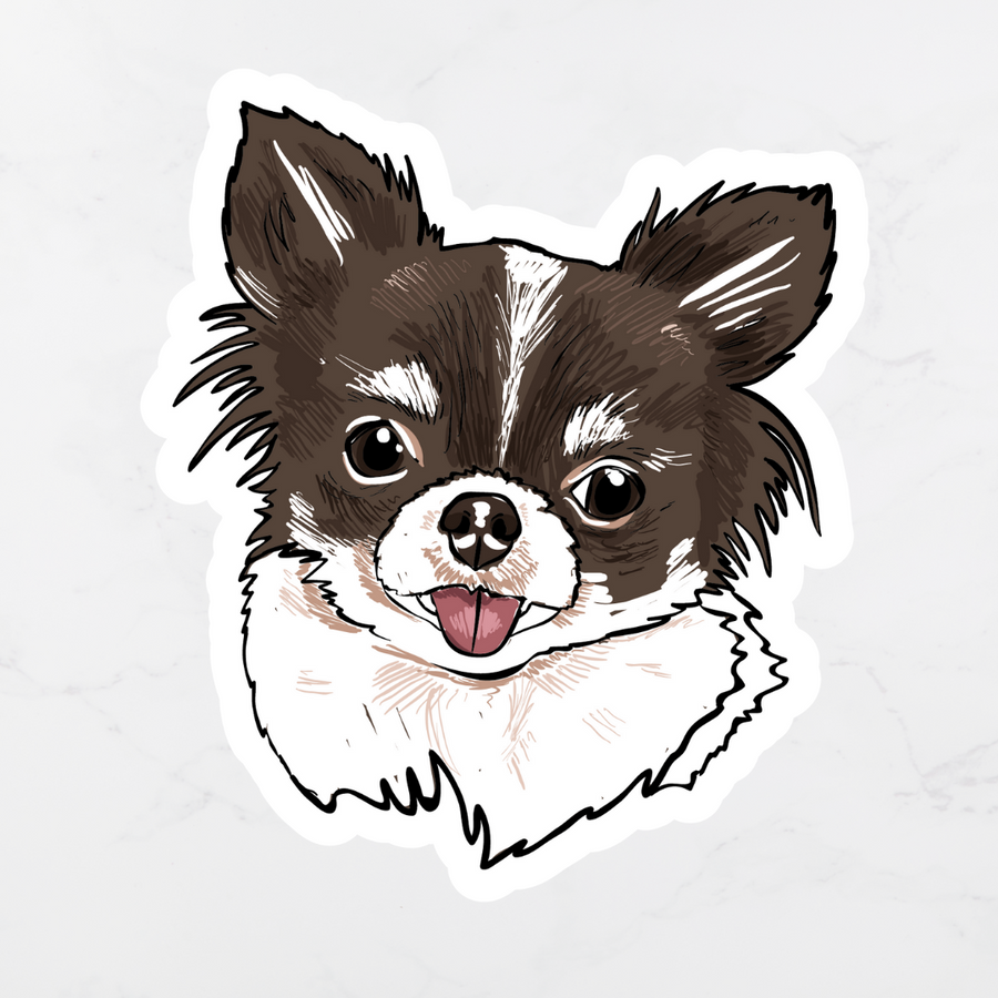 Long Haired Chihuahua Sticker