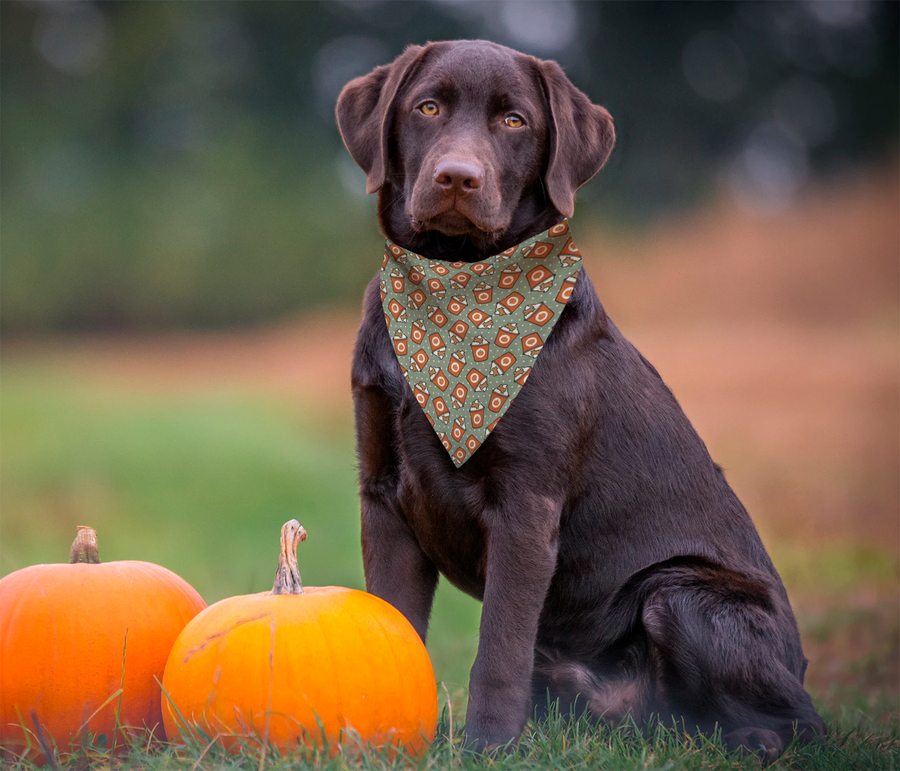 Pup-kin Spice Latte Bandana